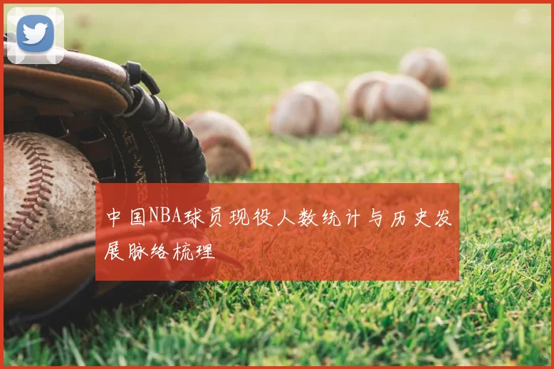 中国NBA球员现役人数统计与历史发展脉络梳理