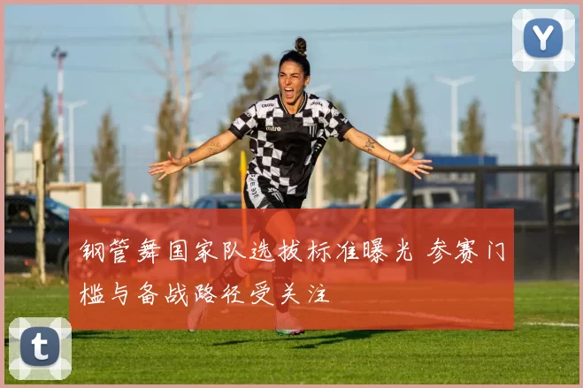 钢管舞国家队选拔标准曝光 参赛门槛与备战路径受关注