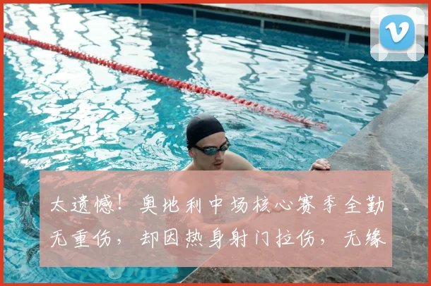 太遗憾！奥地利中场核心赛季全勤无重伤，却因热身射门拉伤，无缘世界杯_鲍姆加特纳_欧冠_霍芬海姆