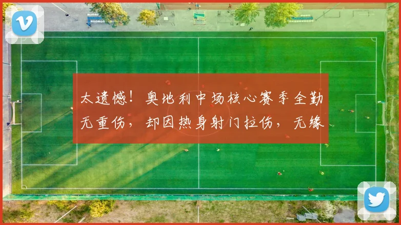太遗憾！奥地利中场核心赛季全勤无重伤，却因热身射门拉伤，无缘世界杯_鲍姆加特纳_欧冠_霍芬海姆