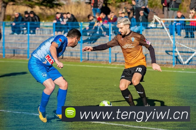 爱游戏ayx登录入口 - 爱游戏(中国)服务体系